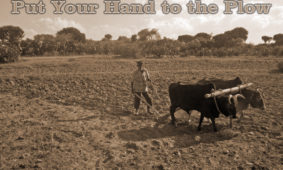 Put Your Hand To The Plow