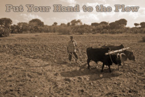 Put Your Hand To The Plow